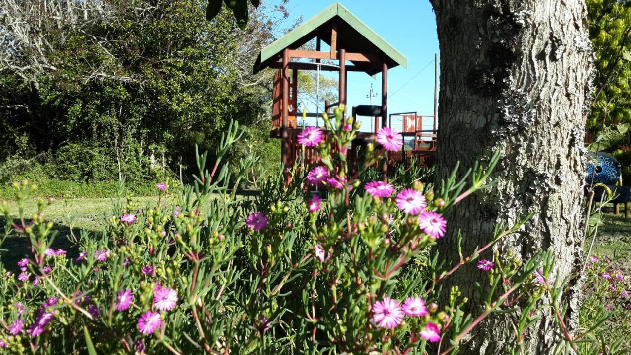 特尼卡树峰酒店 Karatara Settlement 外观 照片